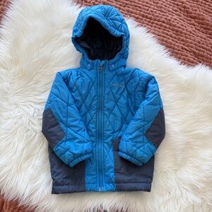 Blue Patagonia Quilted Hooded Jacket